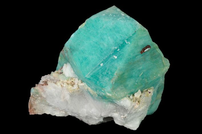 Amazonite Crystal with Bladed Cleavelandite - Colorado #168064